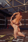 Naked Fighter 3D