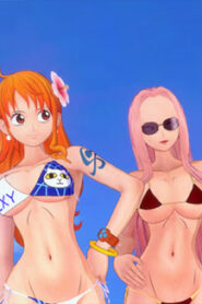 One Piece: Passion on the Grand Line